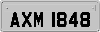 AXM1848