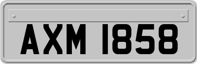 AXM1858