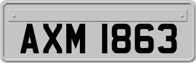 AXM1863