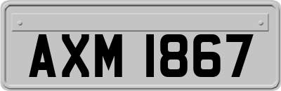AXM1867