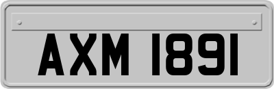 AXM1891