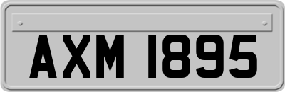 AXM1895