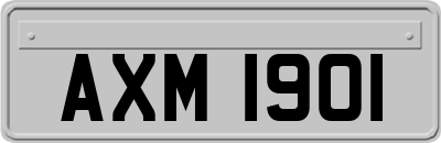AXM1901