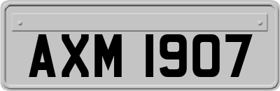 AXM1907