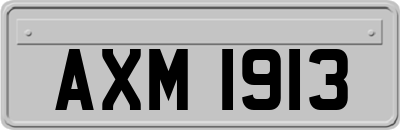 AXM1913