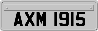 AXM1915