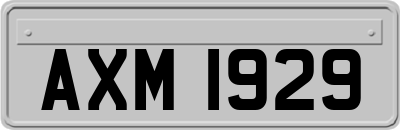 AXM1929