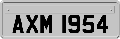 AXM1954