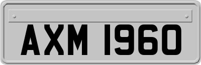 AXM1960