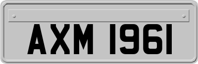 AXM1961