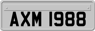 AXM1988