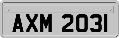 AXM2031