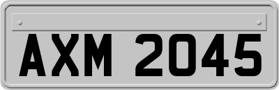 AXM2045