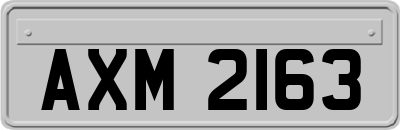 AXM2163