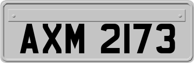 AXM2173