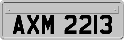 AXM2213