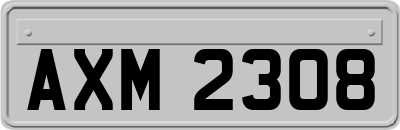 AXM2308