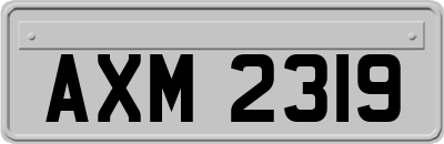 AXM2319