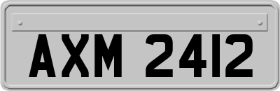 AXM2412