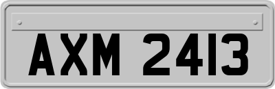 AXM2413