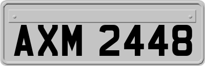 AXM2448
