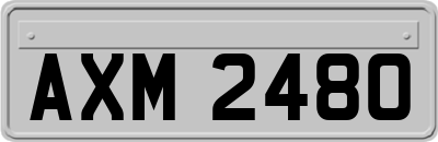 AXM2480