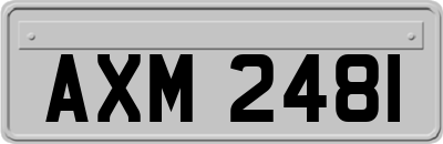 AXM2481