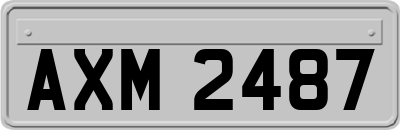 AXM2487