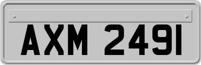 AXM2491