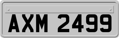 AXM2499