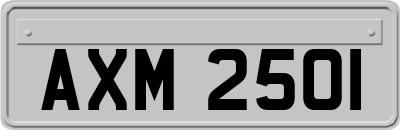 AXM2501