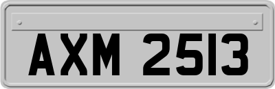AXM2513