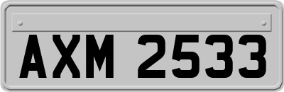 AXM2533