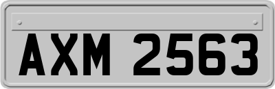 AXM2563