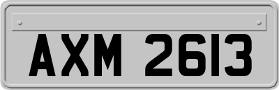 AXM2613