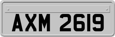 AXM2619