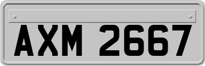 AXM2667