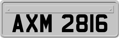 AXM2816
