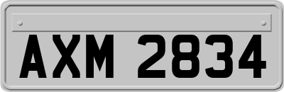 AXM2834