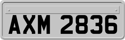 AXM2836