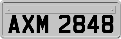 AXM2848