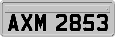 AXM2853