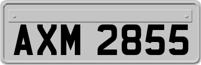 AXM2855