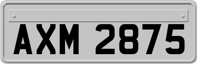 AXM2875