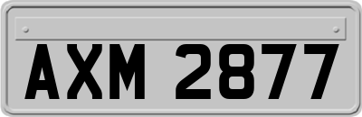 AXM2877