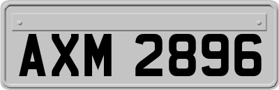 AXM2896