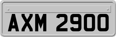 AXM2900