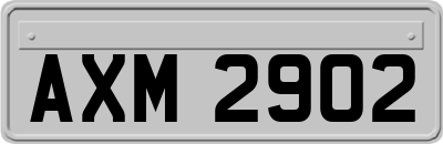 AXM2902