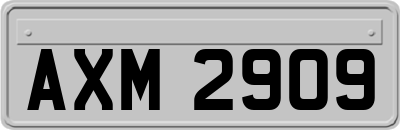 AXM2909