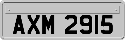AXM2915